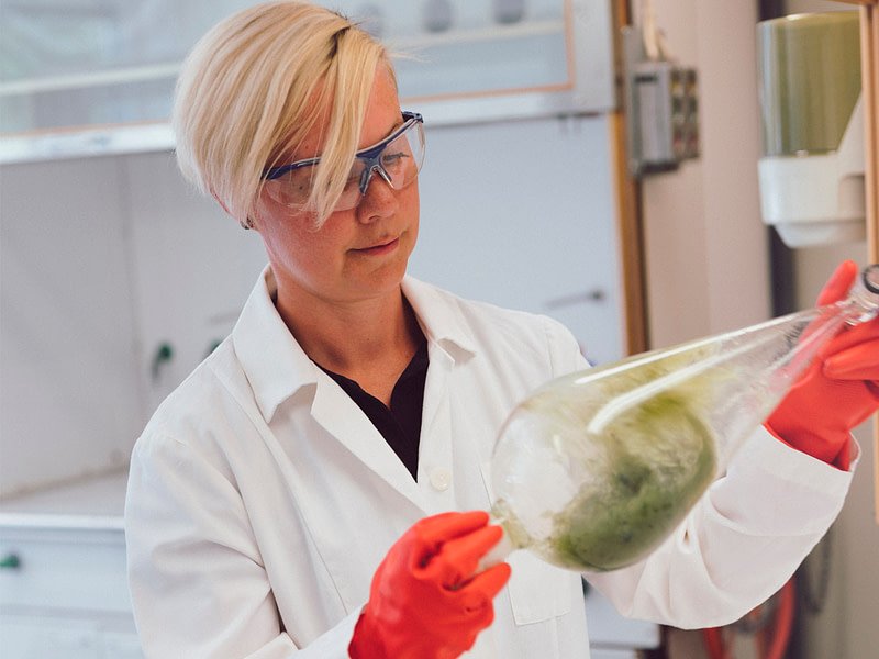Mari Granström valmistui filosofian tohtoriksi Helsingin yliopistosta vuonna 2009. Orgaanisen kemian alan väitöskirja käsittelee selluloosajohdannaisten aineiden synteesejä.