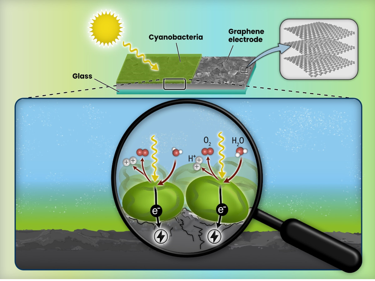 Finnish graphite to sustainable graphene for renewable energy