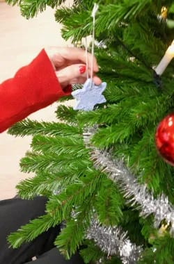 Kuusi saa koristeen oksilleen