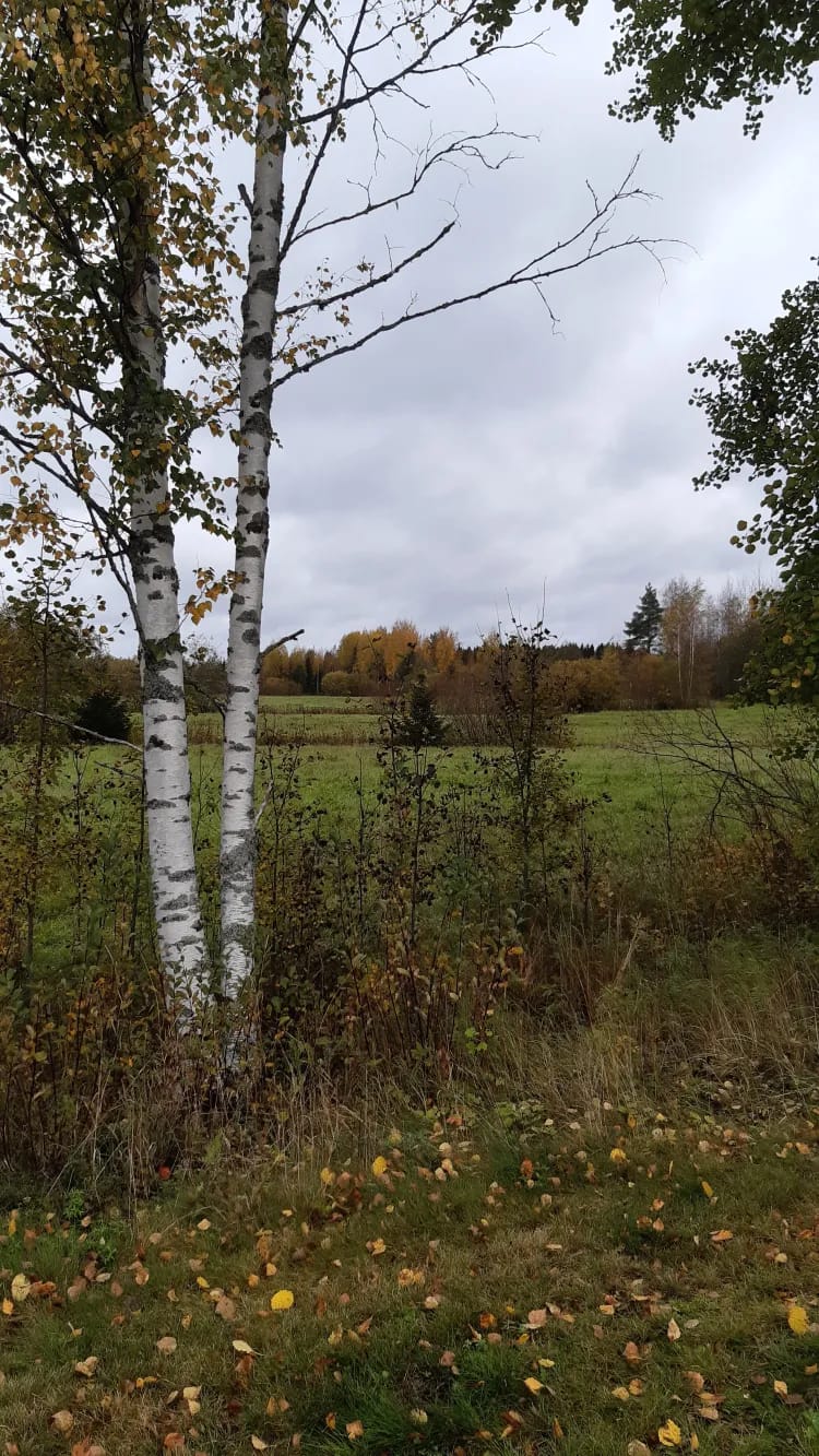 Syksyinen peltomaisema.