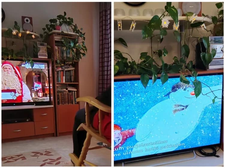 Esperikoti Linnunpesä joulu