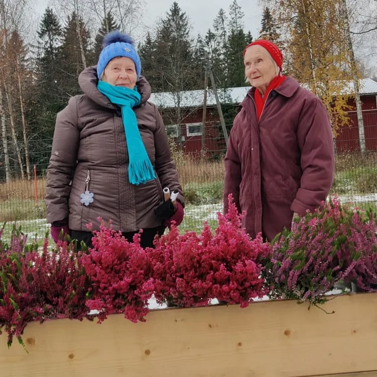 Talviasetelman tekoa.